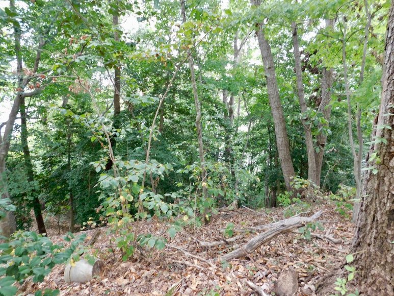 Image for Wooded Waterfront Building Lot in Gated Community--North Stafford County, VA