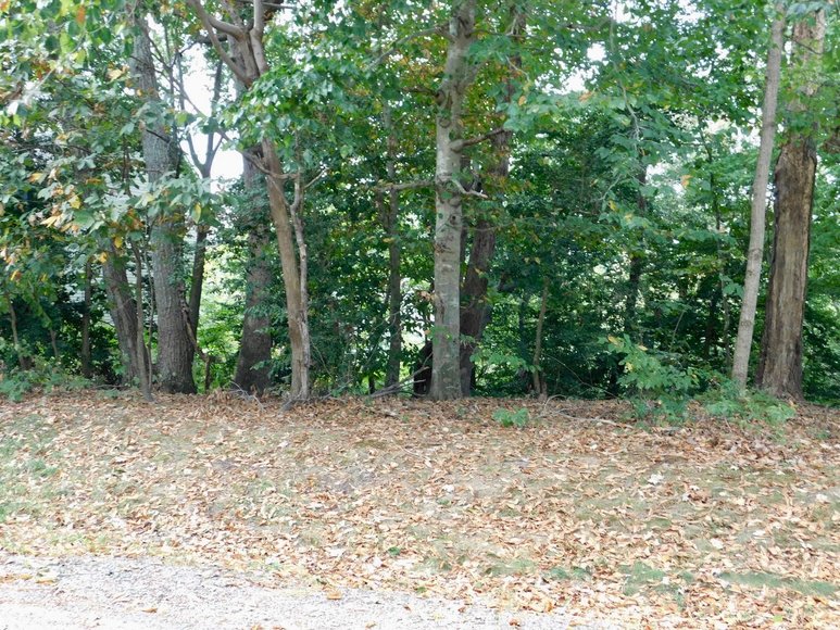 Image for Wooded Waterfront Building Lot in Gated Community--North Stafford County, VA