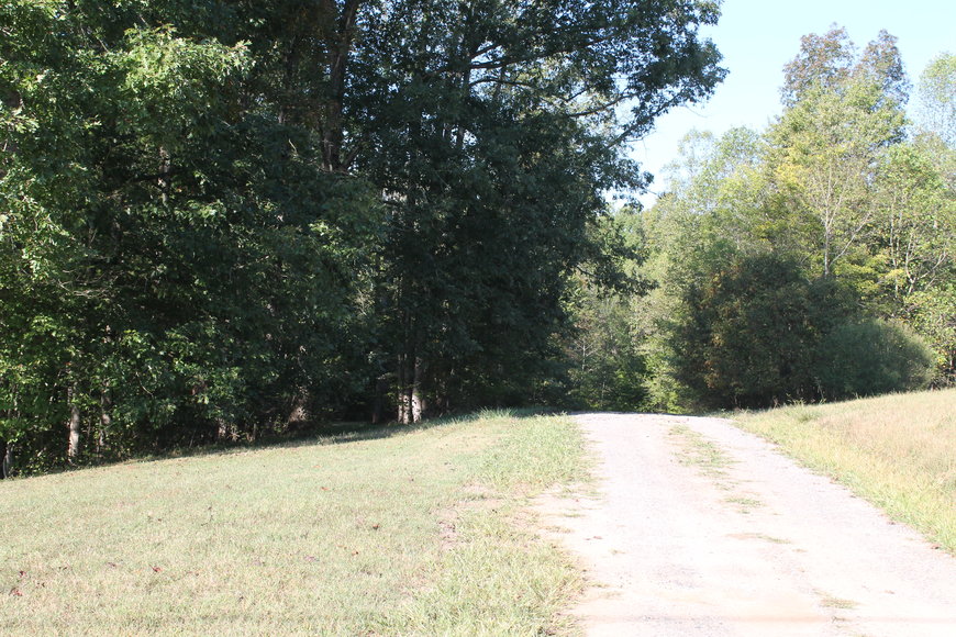 Image for 11.15± Acres on Old Hollow Road, Mount Airy, NC