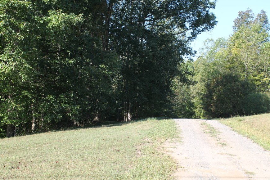 Image for 11.15± Acres on Old Hollow Road, Mount Airy, NC