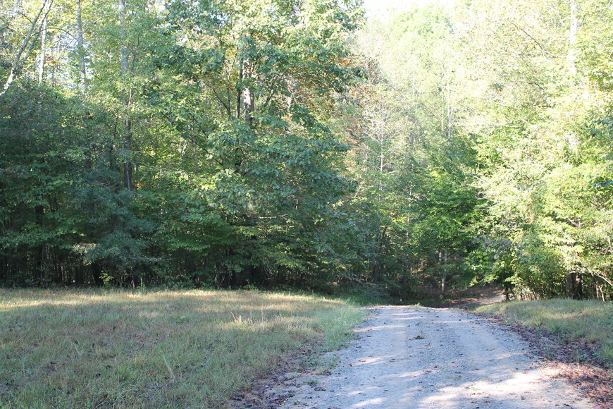 Image for 11.15± Acres on Old Hollow Road, Mount Airy, NC