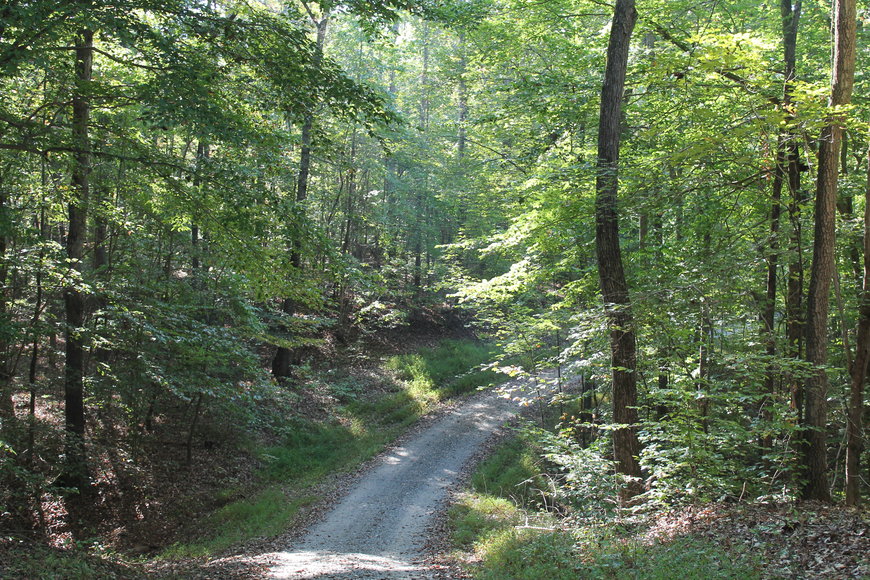 Image for 11.15± Acres on Old Hollow Road, Mount Airy, NC