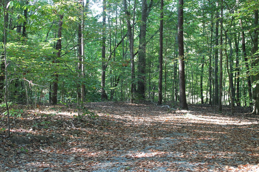 Image for 11.15± Acres on Old Hollow Road, Mount Airy, NC