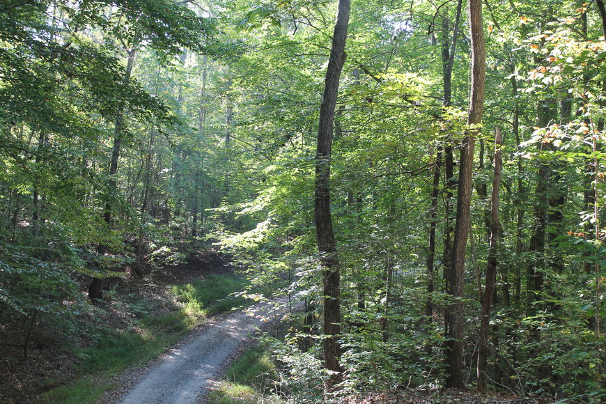 Image for 11.15± Acres on Old Hollow Road, Mount Airy, NC
