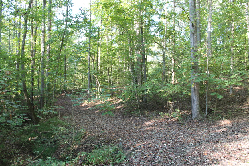 Image for 11.15± Acres on Old Hollow Road, Mount Airy, NC