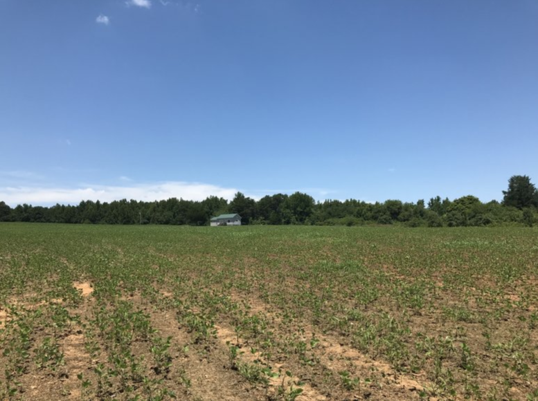 Image for 67.39 AC Sportsman's Paradise - 1034 Cherry Creek Rd., Halifax, VA 24577