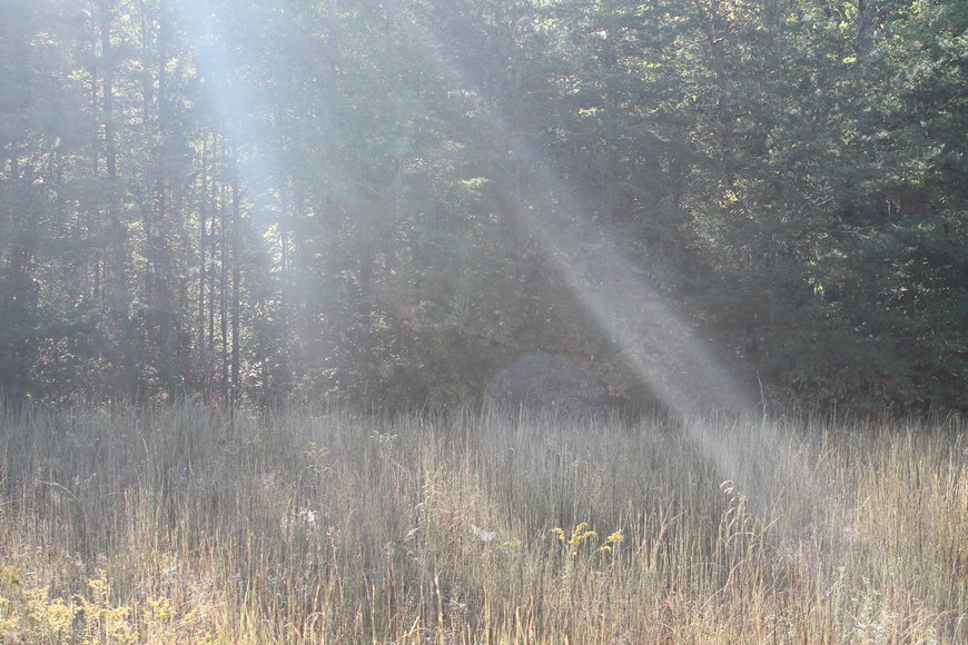 Image for 2 Building Lots on CP Riddle Trail, Mount Airy, NC