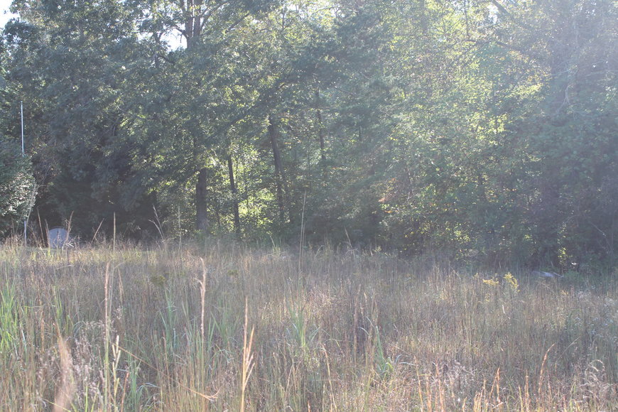 Image for 2 Building Lots on CP Riddle Trail, Mount Airy, NC