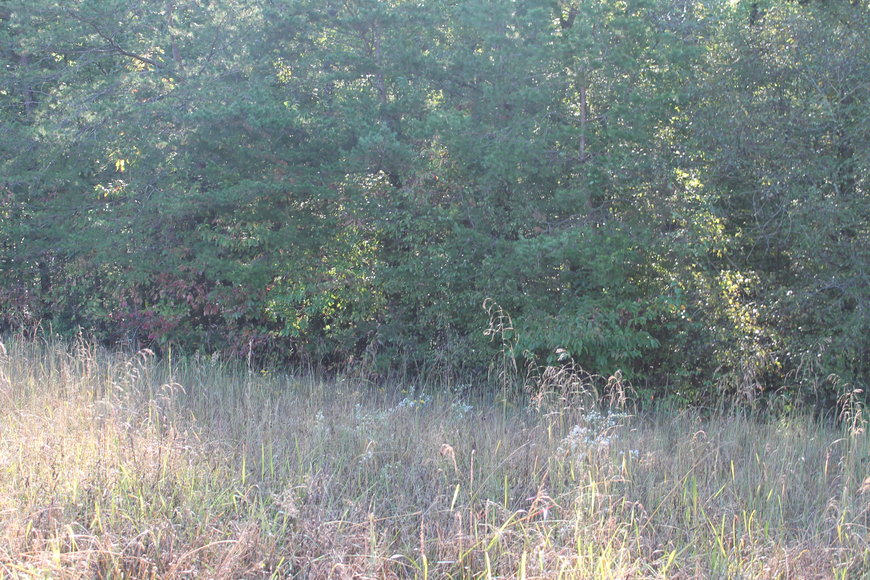 Image for 2 Building Lots on CP Riddle Trail, Mount Airy, NC