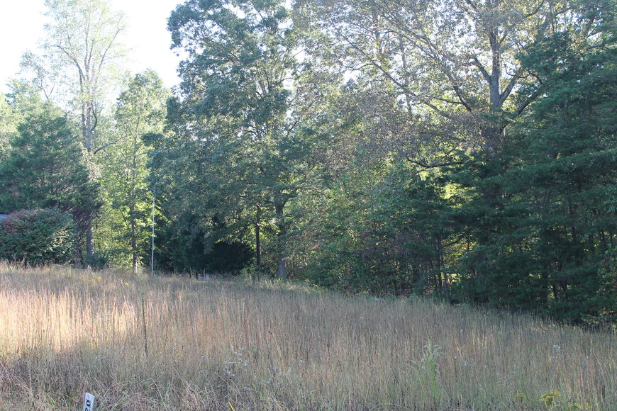 Image for 2 Building Lots on CP Riddle Trail, Mount Airy, NC