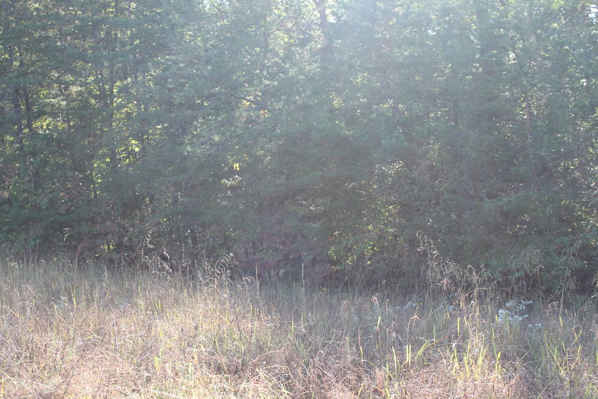 Image for 2 Building Lots on CP Riddle Trail, Mount Airy, NC