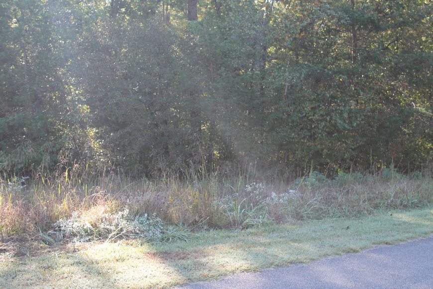 Image for 2 Building Lots on CP Riddle Trail, Mount Airy, NC