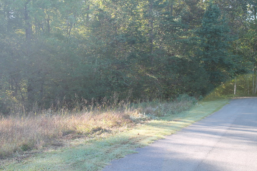 Image for 2 Building Lots on CP Riddle Trail, Mount Airy, NC