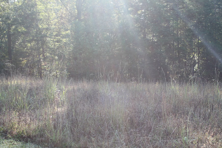 Image for 2 Building Lots on CP Riddle Trail, Mount Airy, NC