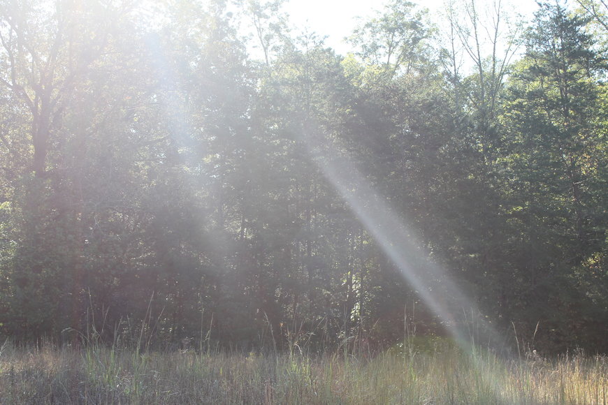 Image for 2 Building Lots on CP Riddle Trail, Mount Airy, NC