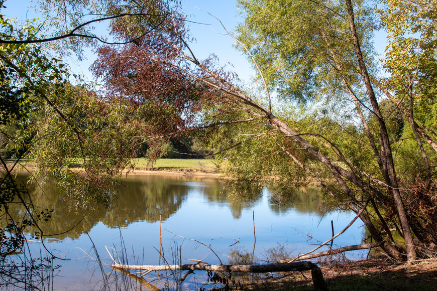 Image for Bob Page Estate ~ 4200 Broadway Rd, Ellendale/Bartlett, TN House & 15±Acres ~ No Reserve Auction