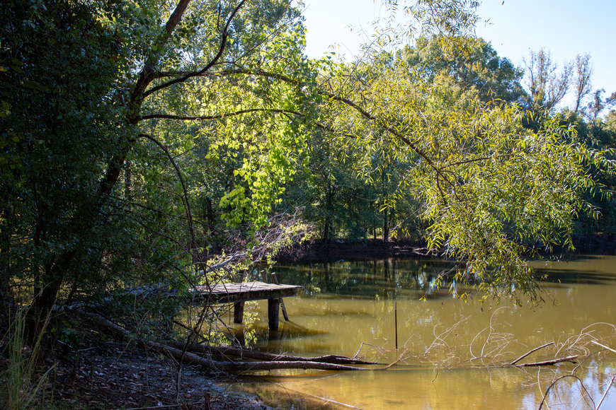 Image for Bob Page Estate ~ 4200 Broadway Rd, Ellendale/Bartlett, TN House & 15±Acres ~ No Reserve Auction