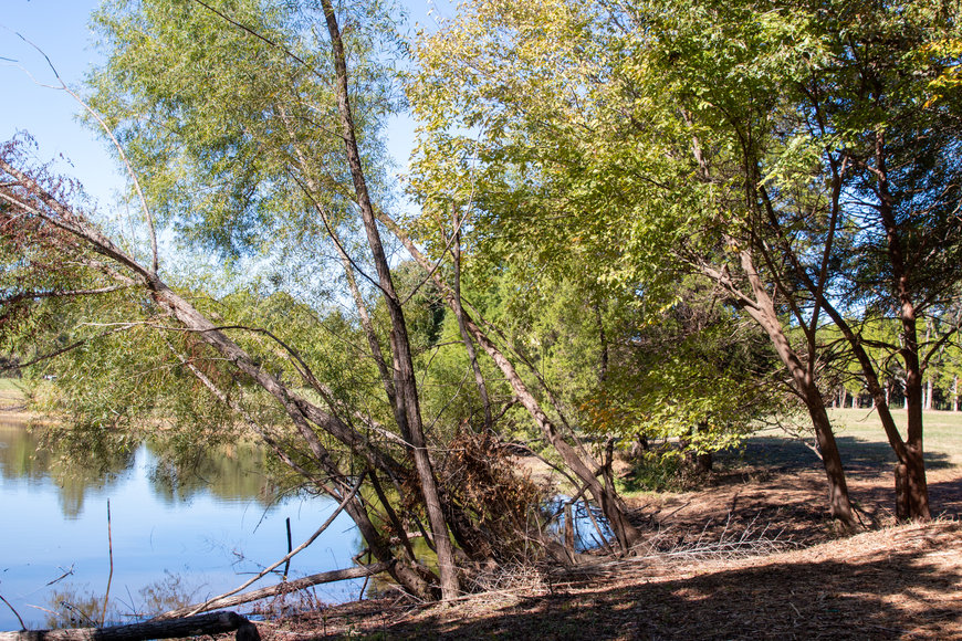 Image for Bob Page Estate ~ 4200 Broadway Rd, Ellendale/Bartlett, TN House & 15±Acres ~ No Reserve Auction