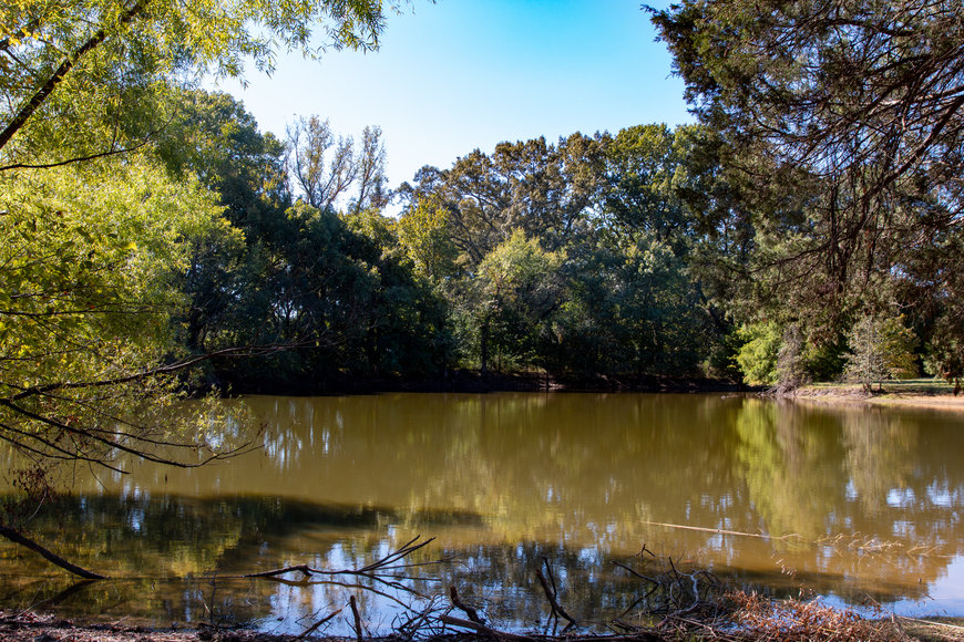 Image for Bob Page Estate ~ 4200 Broadway Rd, Ellendale/Bartlett, TN House & 15±Acres ~ No Reserve Auction