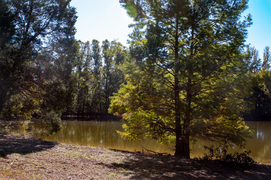 Image for Bob Page Estate ~ 4200 Broadway Rd, Ellendale/Bartlett, TN House & 15±Acres ~ No Reserve Auction