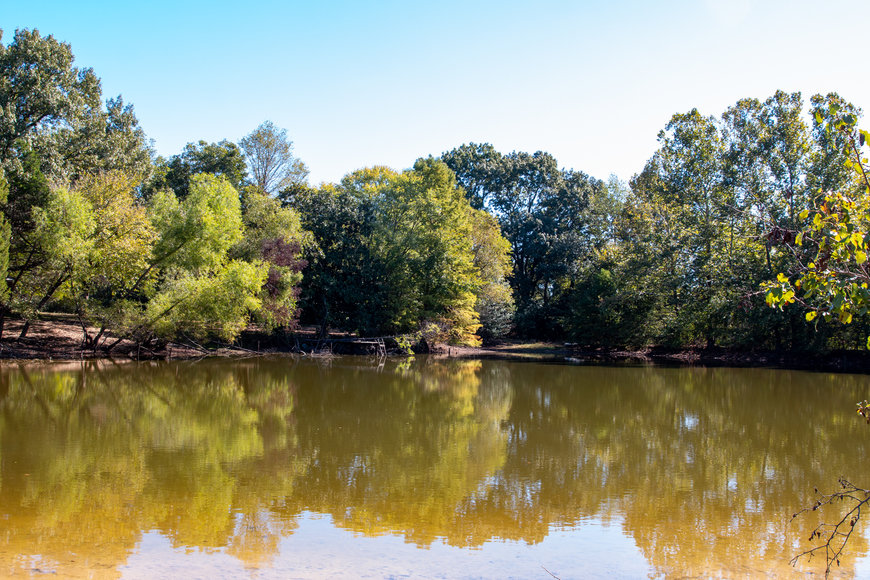 Image for Bob Page Estate ~ 4200 Broadway Rd, Ellendale/Bartlett, TN House & 15±Acres ~ No Reserve Auction