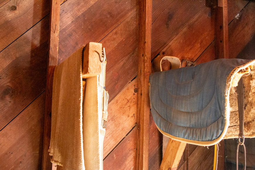 Image for Bob Page Estate ~ 4200 Broadway Rd, Ellendale/Bartlett, TN House & 15±Acres ~ No Reserve Auction