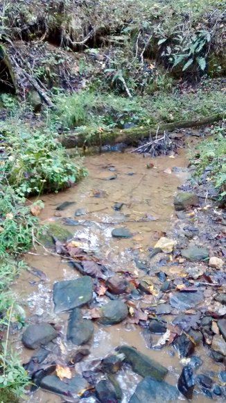 Image for 6.1 +/- Acre Building Lot w/4 BR Perk Site in Madison County, VA--SELLS to the HIGHEST BIDDER via ONLINE ONLY BIDDING!!