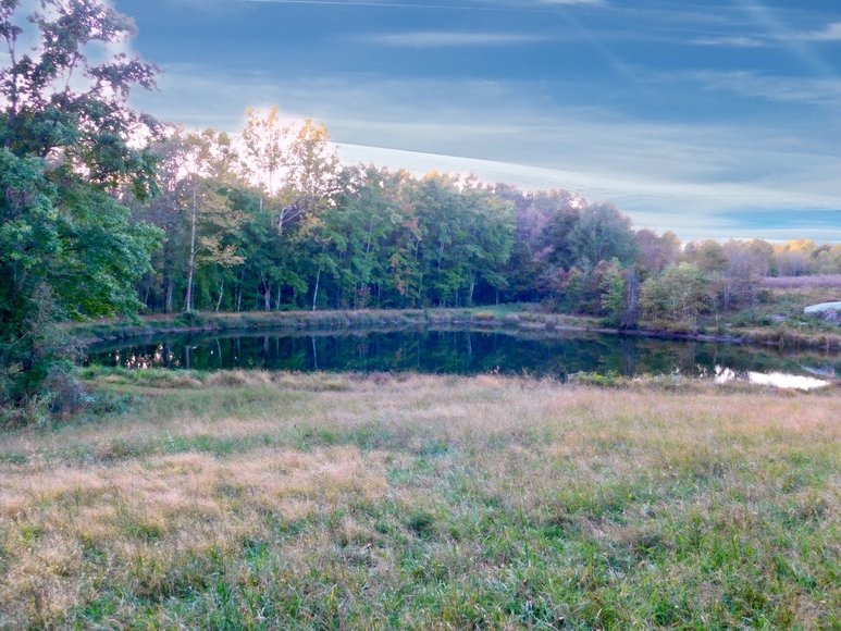 Image for 100 +/- Acres of Spotsylvania County Land--SELLS to the HIGHEST BIDDER via ONLINE ONLY BIDDING!!