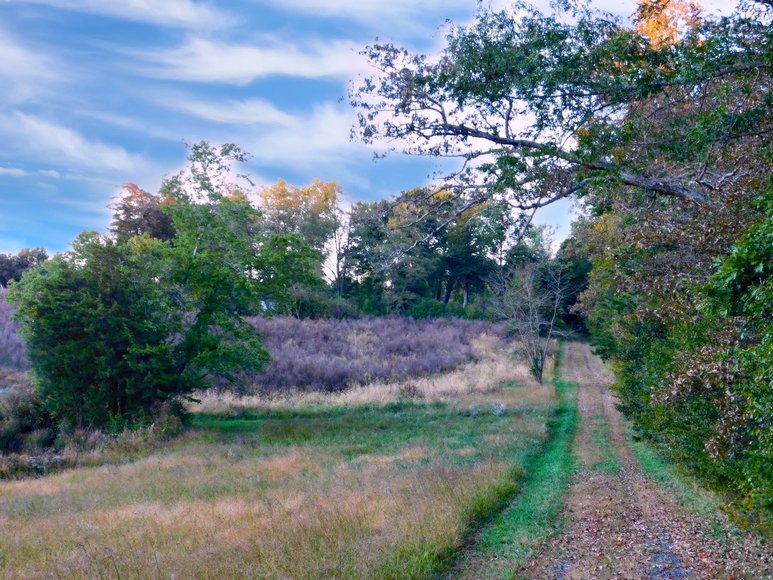 Image for 100 +/- Acres of Spotsylvania County Land--SELLS to the HIGHEST BIDDER via ONLINE ONLY BIDDING!!