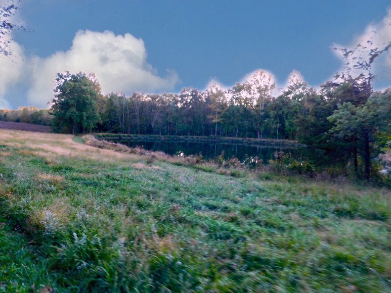 Image for 100 +/- Acres of Spotsylvania County Land--SELLS to the HIGHEST BIDDER via ONLINE ONLY BIDDING!!