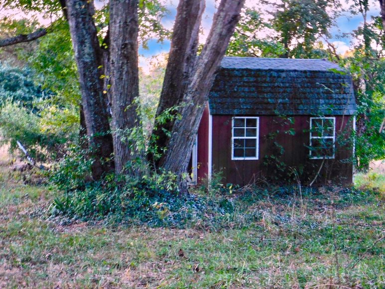 Image for 100 +/- Acres of Spotsylvania County Land--SELLS to the HIGHEST BIDDER via ONLINE ONLY BIDDING!!