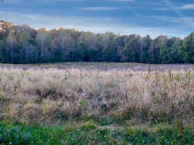 Image for 100 +/- Acres of Spotsylvania County Land--SELLS to the HIGHEST BIDDER via ONLINE ONLY BIDDING!!