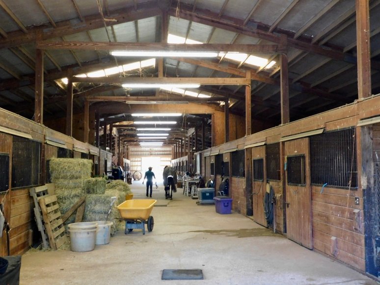 Image for 34.5 +/- Acres w/20 Stall Barn and Indoor & Outdoor Riding Rings in Culpeper County, VA--SELLS to the HIGHEST BIDDER!!