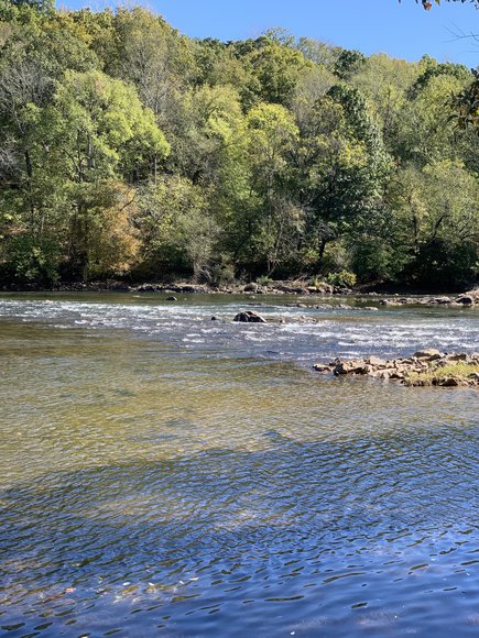 Image for Well Built 5 BR/3.5 BA Brick Home on 4.9 +/- Acres in Desirable 