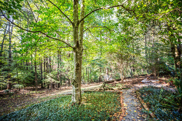 Image for Well Built 5 BR/3.5 BA Brick Home on 4.9 +/- Acres in Desirable 