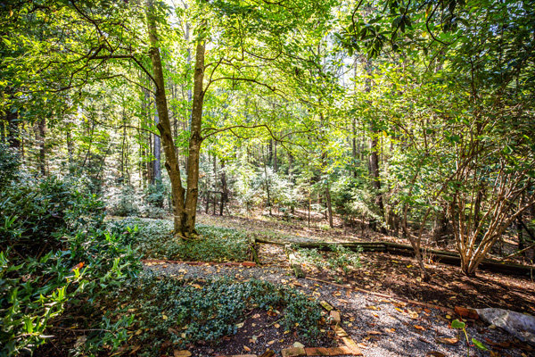 Image for Well Built 5 BR/3.5 BA Brick Home on 4.9 +/- Acres in Desirable 