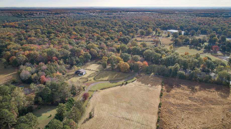 Image for 5 BR/5.5 BA Estate Home on 34 +/- Acres in Culpeper County, VA--SELLS to the HIGHEST BIDDER!!
