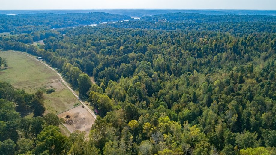 Image for Land Auction: Ponderosa Ave Cadiz, KY