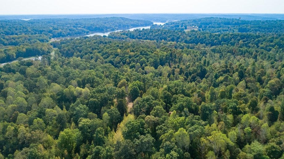 Image for Land Auction: Ponderosa Ave Cadiz, KY