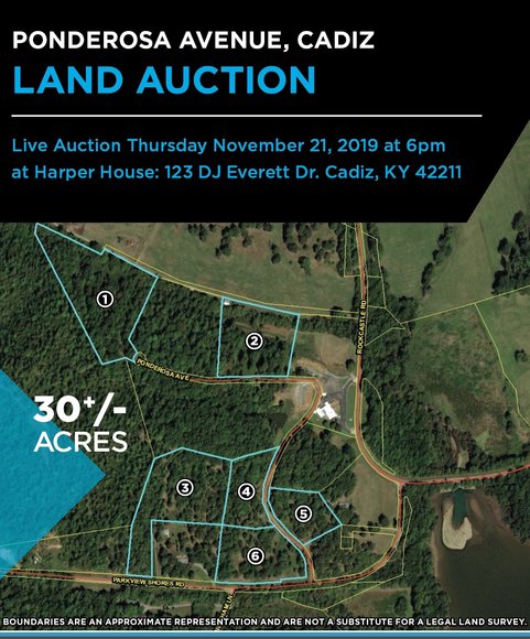 Image for Land Auction: Ponderosa Ave Cadiz, KY