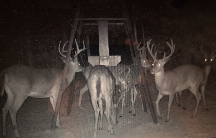 Image for 615± Acres - Shoal Creek Valley (Ashville), Alabama