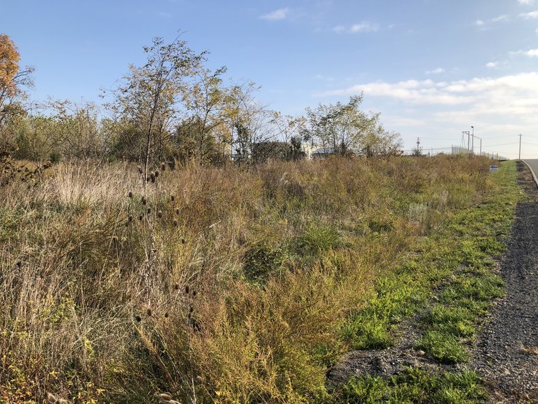 Image for 77.68 ± AC Development Site Along I-81 - North Shenandoah Business & Industrial Park - Borden Mowery Dr., Strasburg, VA 22657