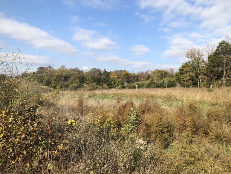 Image for 77.68 ± AC Development Site Along I-81 - North Shenandoah Business & Industrial Park - Borden Mowery Dr., Strasburg, VA 22657