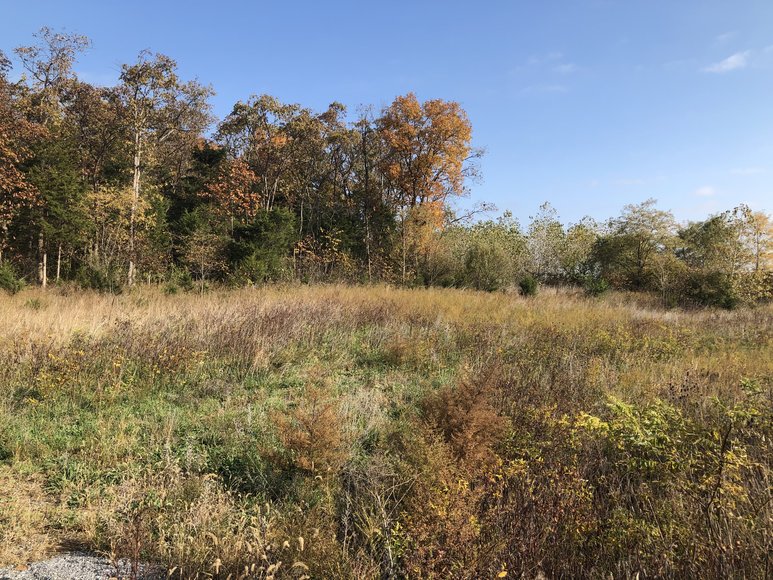 Image for 77.68 ± AC Development Site Along I-81 - North Shenandoah Business & Industrial Park - Borden Mowery Dr., Strasburg, VA 22657