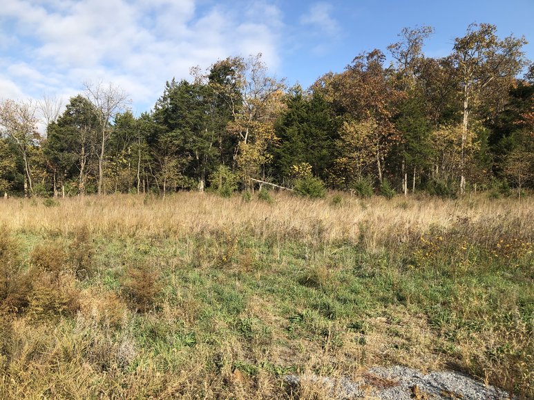 Image for 77.68 ± AC Development Site Along I-81 - North Shenandoah Business & Industrial Park - Borden Mowery Dr., Strasburg, VA 22657