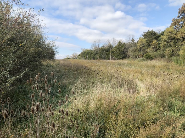 Image for 77.68 ± AC Development Site Along I-81 - North Shenandoah Business & Industrial Park - Borden Mowery Dr., Strasburg, VA 22657