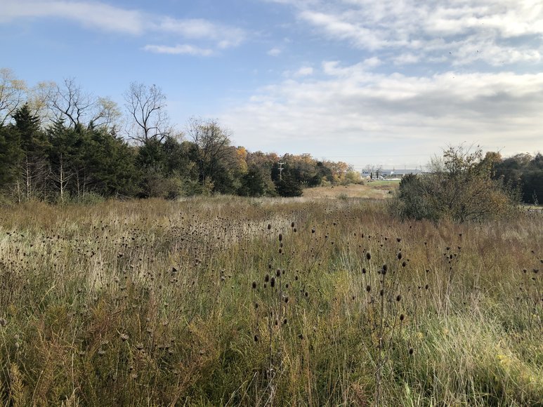 Image for 77.68 ± AC Development Site Along I-81 - North Shenandoah Business & Industrial Park - Borden Mowery Dr., Strasburg, VA 22657