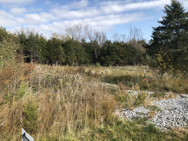 Image for 77.68 ± AC Development Site Along I-81 - North Shenandoah Business & Industrial Park - Borden Mowery Dr., Strasburg, VA 22657