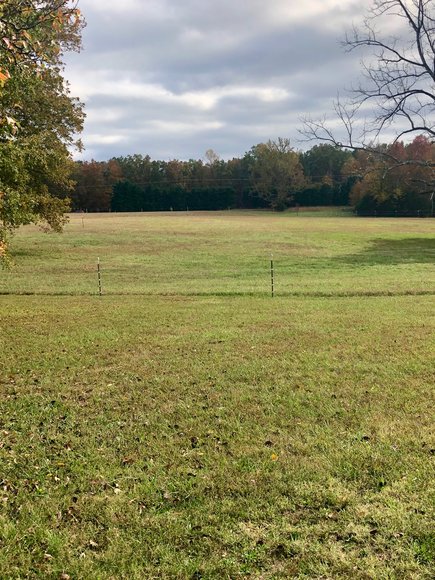 Image for 3 BR/2 BA Brick Home w/Large Barn, Riding Ring & Pond on 21.8 +/- Fenced Acres in Louisa County, VA