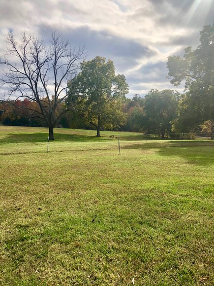 Image for 3 BR/2 BA Brick Home w/Large Barn, Riding Ring & Pond on 21.8 +/- Fenced Acres in Louisa County, VA
